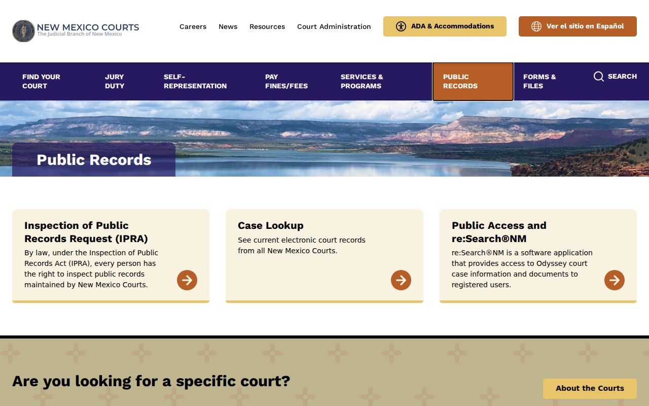 Eddy County court docket public-access options from the New Mexico Courts record overview
